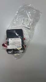 Stradivarius ФУТБОЛКА В СТИЛЕ ПРЕППИ С ПРИНТОМ «МЕДВЕДЬ» Ecru | 9006/738/712