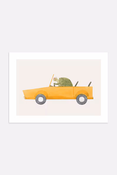Постер TURTLE RIDE