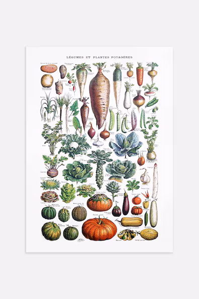 Постер GARDEN VEGETABLES OVERVIEW