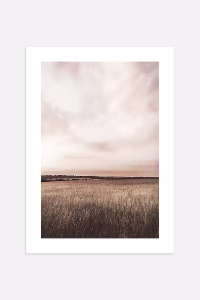 Постер SUNSET MEADOW