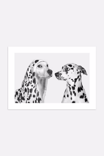 Постер DOTTY DOGS