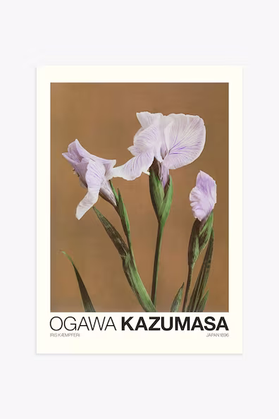 Постер ирисы кэмпфери от казумаса