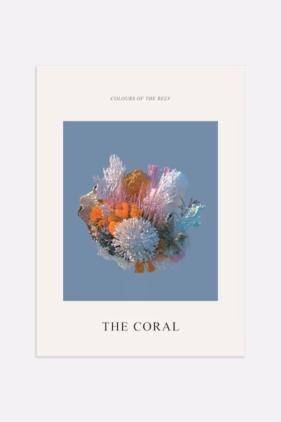 Плакат THE CORAL