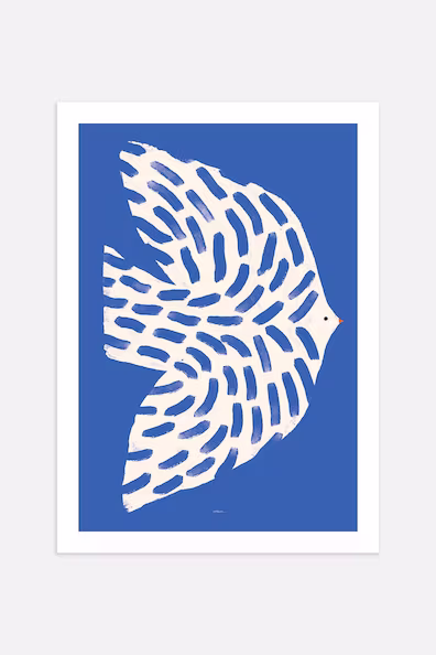 Постер SEABIRD