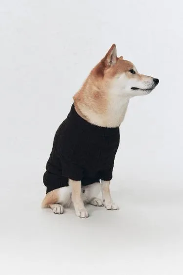 Вязаный свитер из шерсти для домашних животных soshiotsuki x zara
