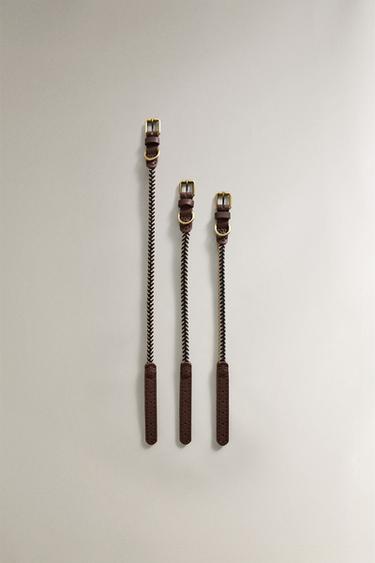 Zara Ошейник для собак с цветным шнуром