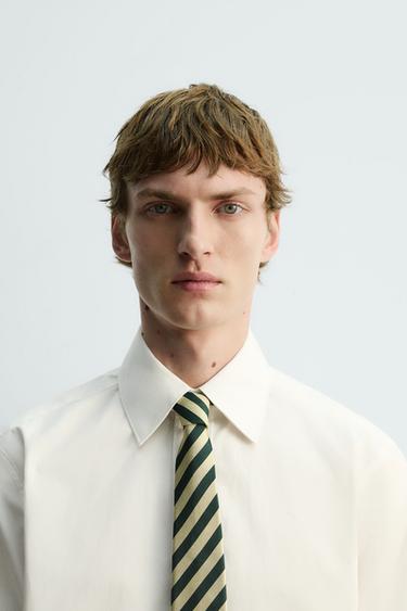 Zara Галстук 100% шелк полосы ограниченная серия