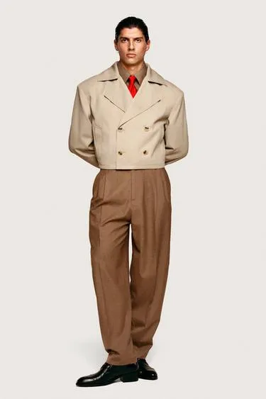 Плиссированные брюки для костюма willy chavarria x zara- Заказать в России