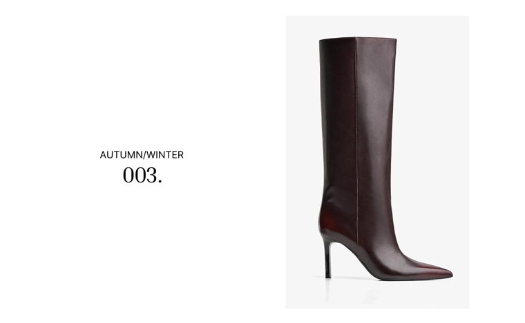 Широкие сапоги на высоком каблуке