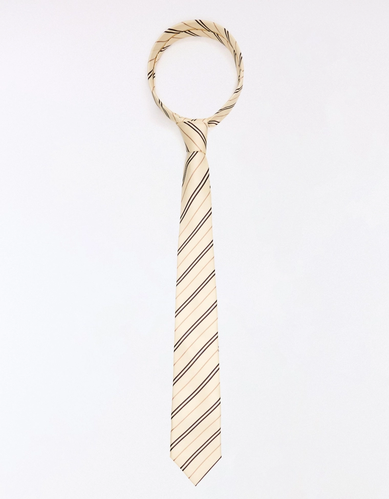 Полосатый галстук