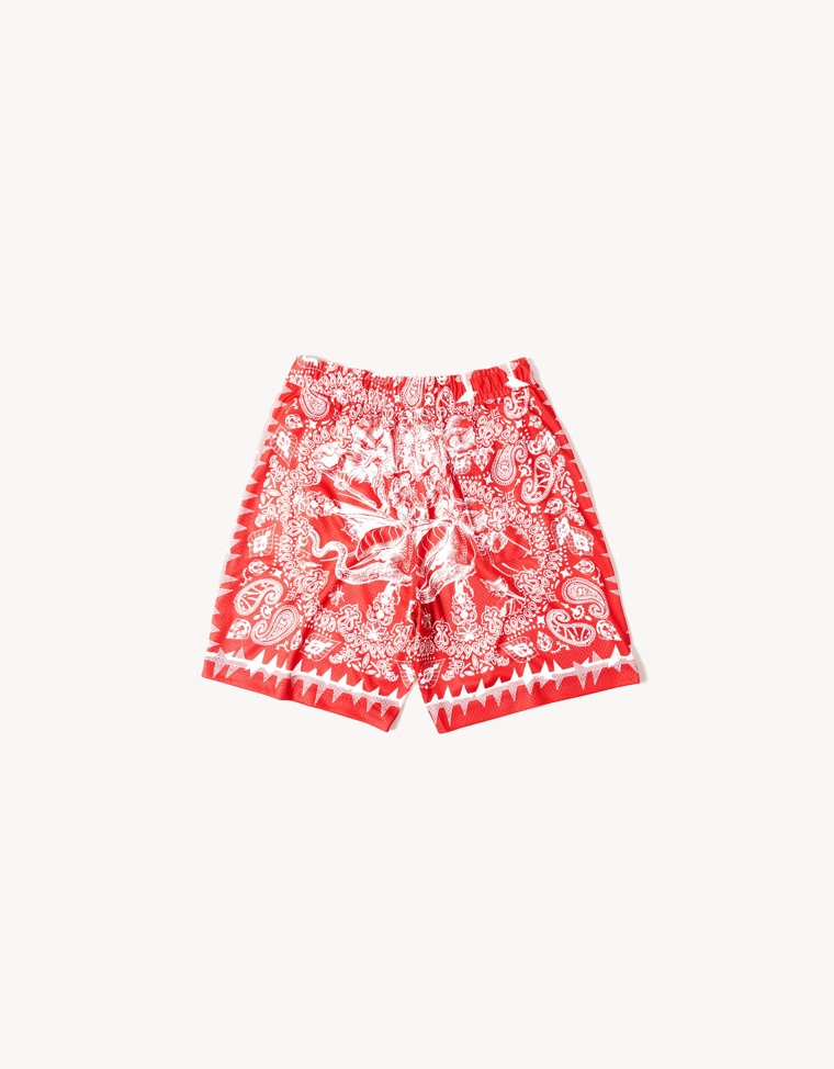 Шорты свободного кроя ARIES X BERSHKA