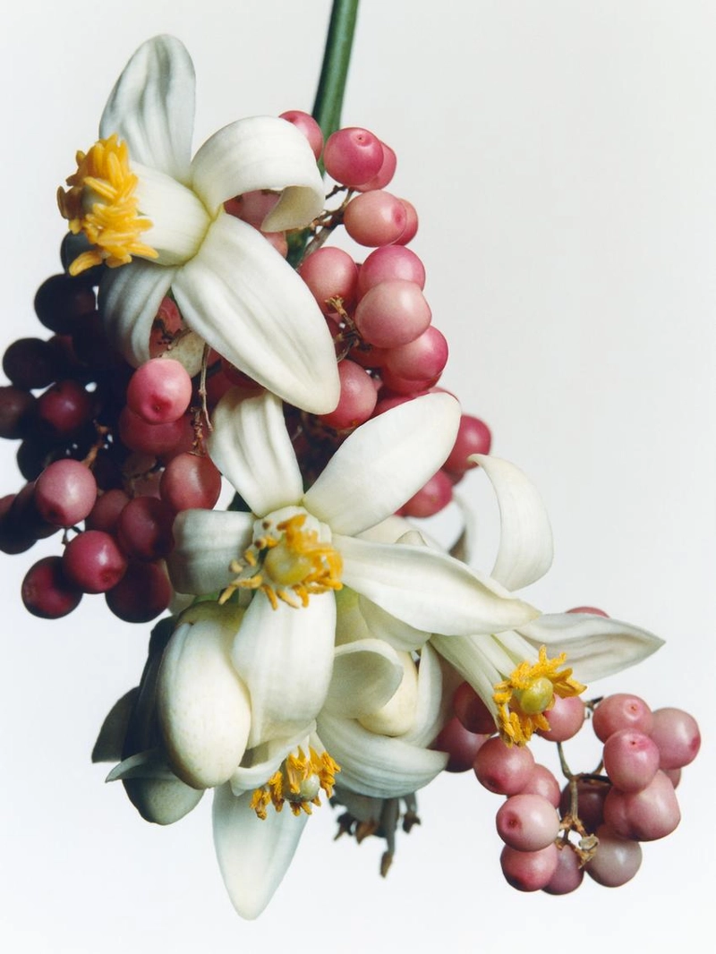 (100 мл) Парфюмерная вода Sparkling Musk