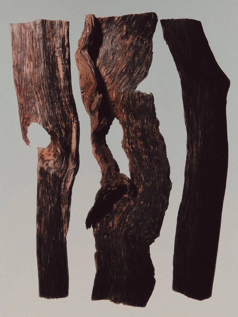 (100 мл) skinfusion парфюмированная вода