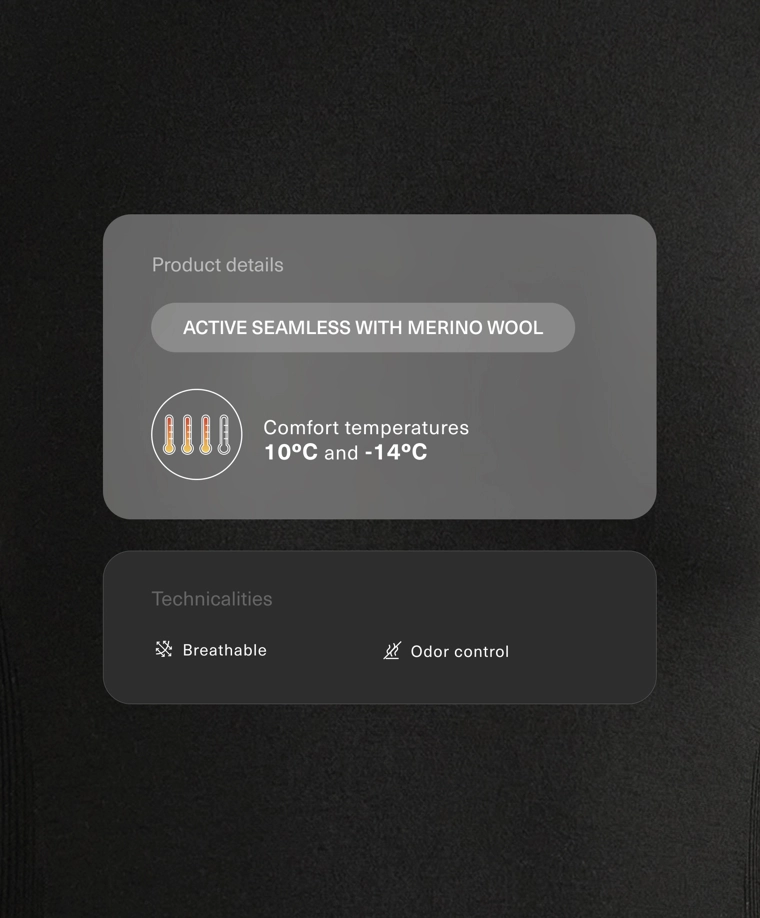 Термобелье из мериносовой шерсти, базовый слой, футболка, без швов