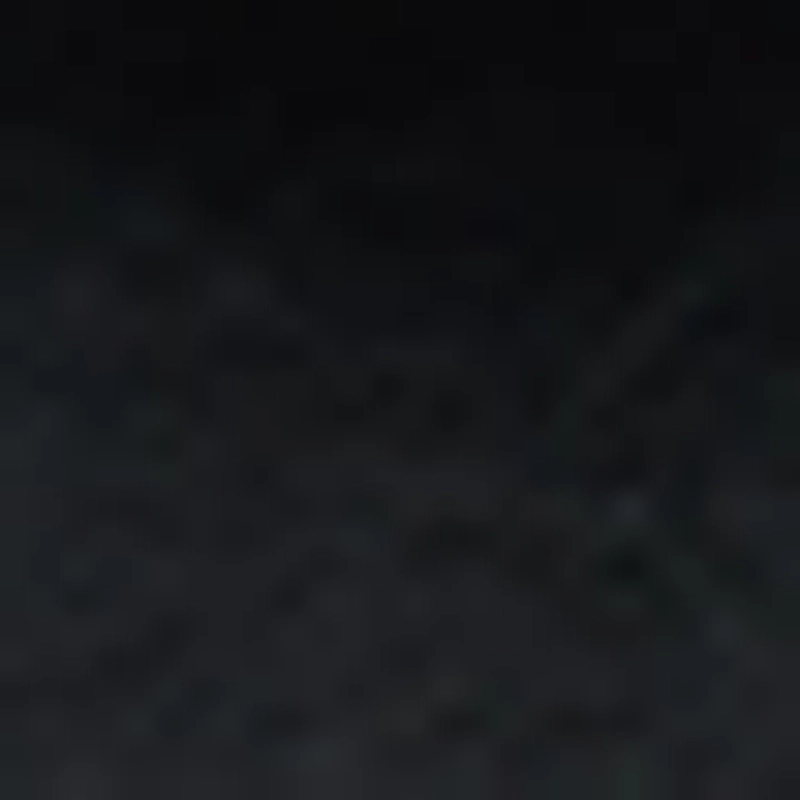 Кошелек на молнии с шариками