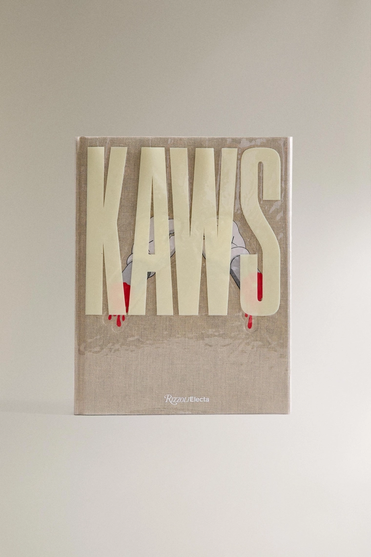 Книга kaws