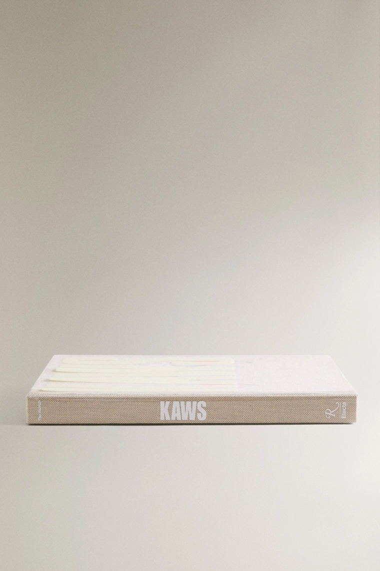 Книга kaws