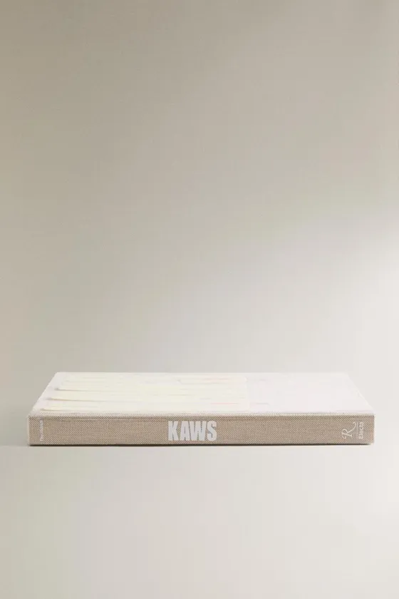 Книга kaws