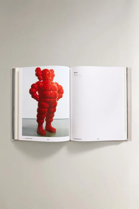 Книга kaws