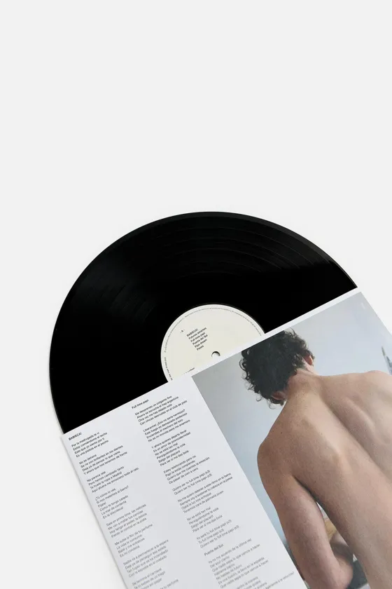 Испанская кожа lp винил guitarricadelafuente