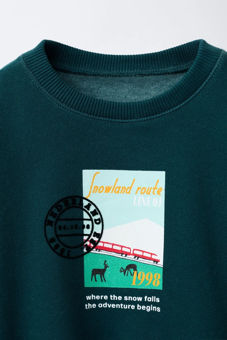 ТОЛСТОВКА С ПРИНТОМ SNOWLAND