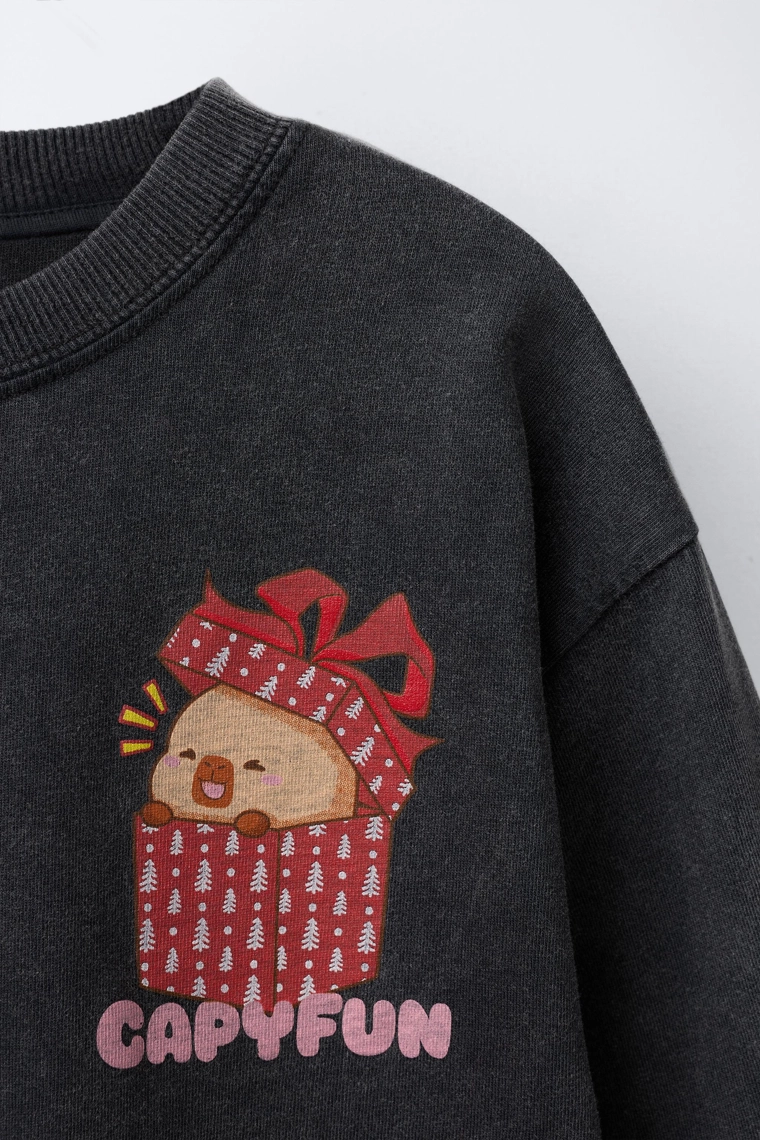 ФУТБОЛКА С ЭФФЕКТОМ ПОТЕРТОСТИ И ПРИНТОМ «КАПИБАРА CAPYFUN ©»