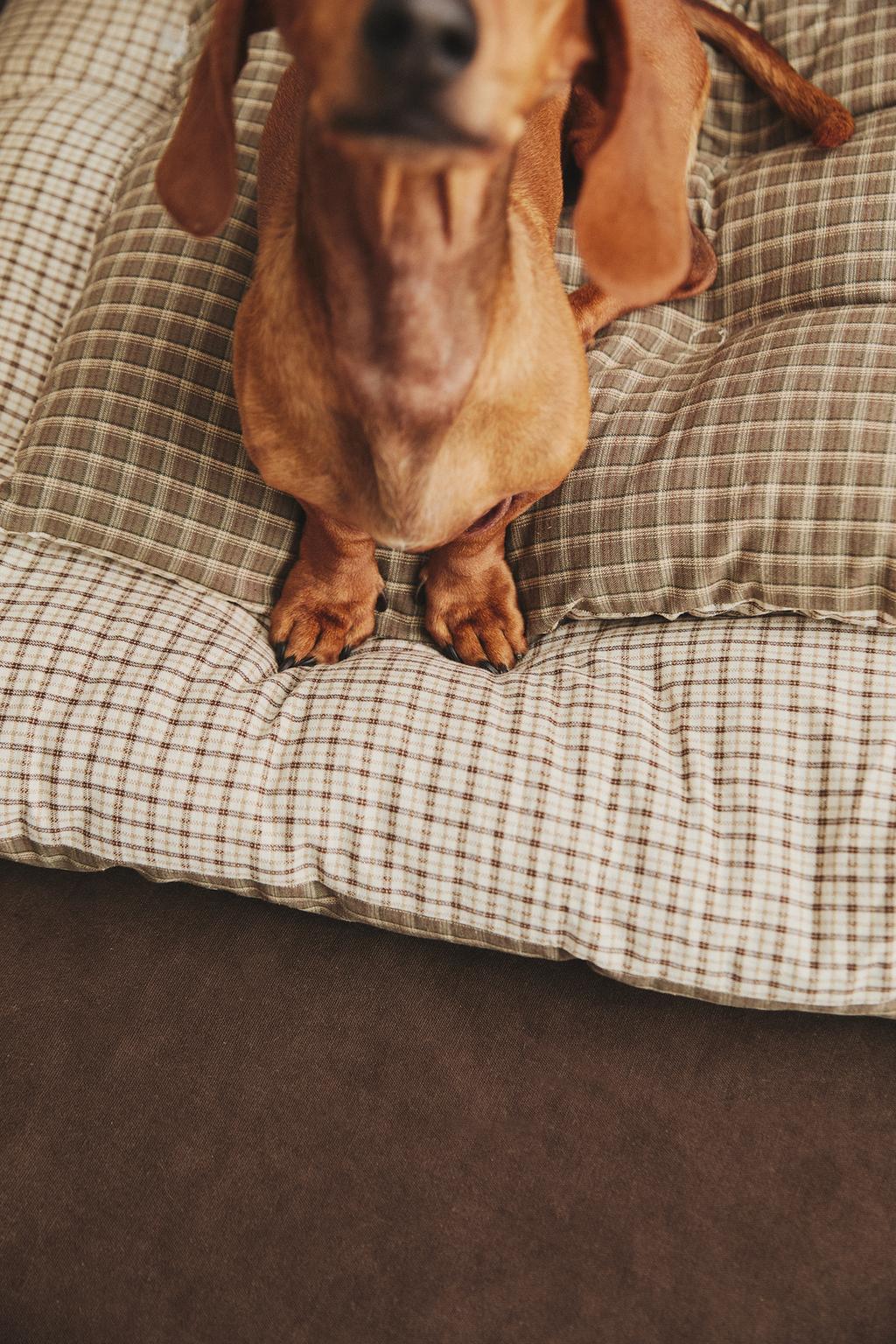 Верхняя одежда для питомца в клетчатом дизайне