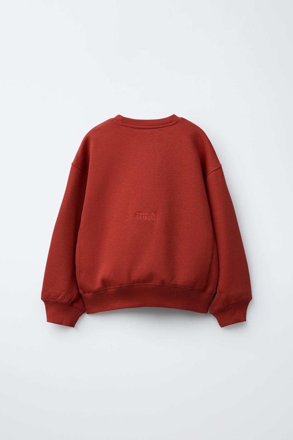 КОМПЛЕКТ ИЗ ТОЛСТОВКИ И БРЮК-ДЖОГГЕРОВ С ВЫШИВКОЙ