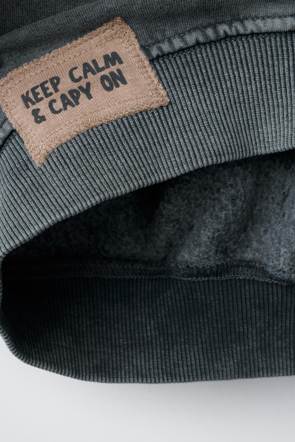 ТОЛСТОВКА С БЛЕСТКАМИ КАПИБАРА CAPYFUN ©