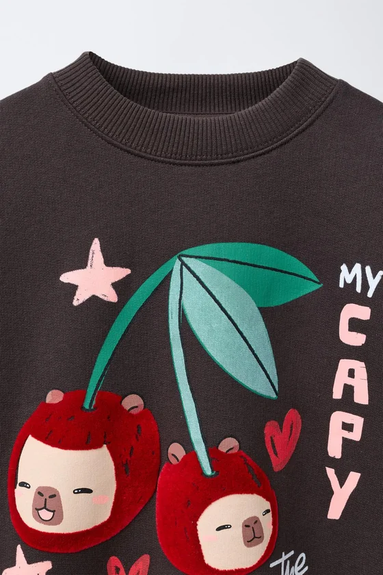ТОЛСТОВКА С ВИШНЯМИ С РЕЛЬЕФНЫМ ПРИНТОМ CAPIBARA CAPYFUN ©