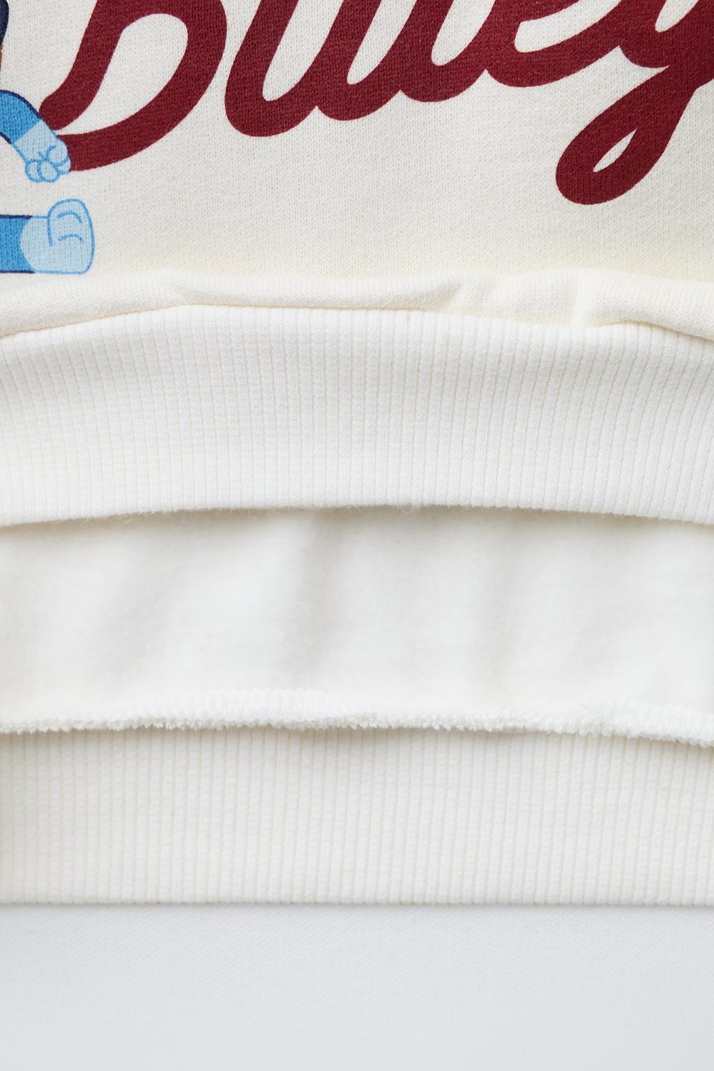 ТОЛСТОВКА С ВЫШИВКОЙ BLUEY © LUDO STUDIO