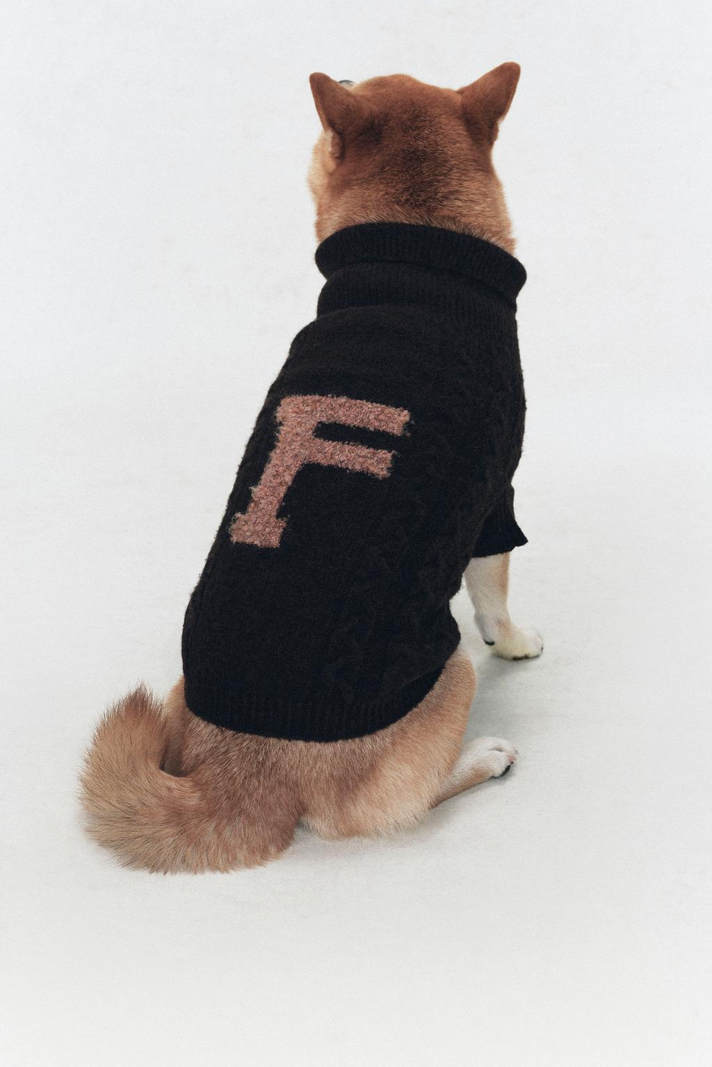 Вязаный свитер из шерсти для домашних животных soshiotsuki x zara