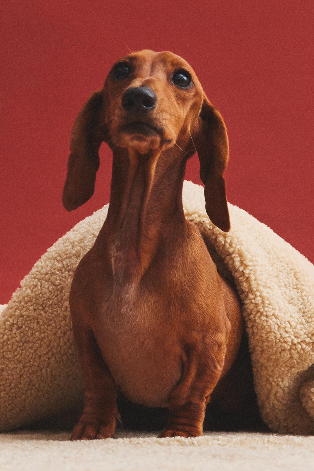 Плед для домашних животных в мелкую клетку