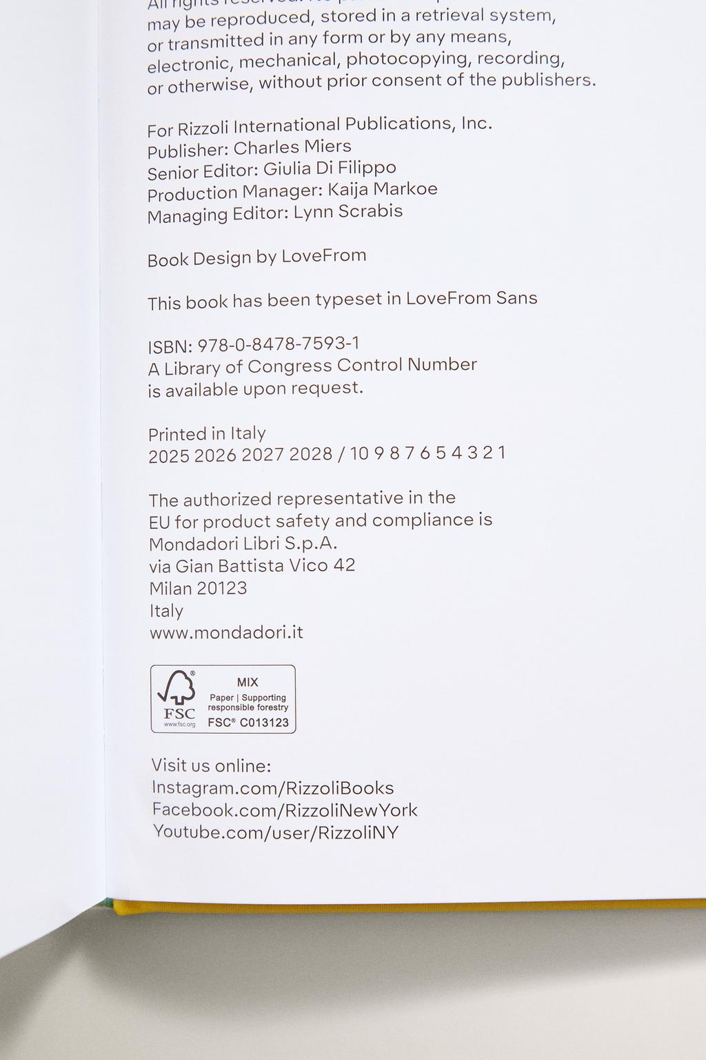 Книга-рецепты искусства с лимоном squeeze-