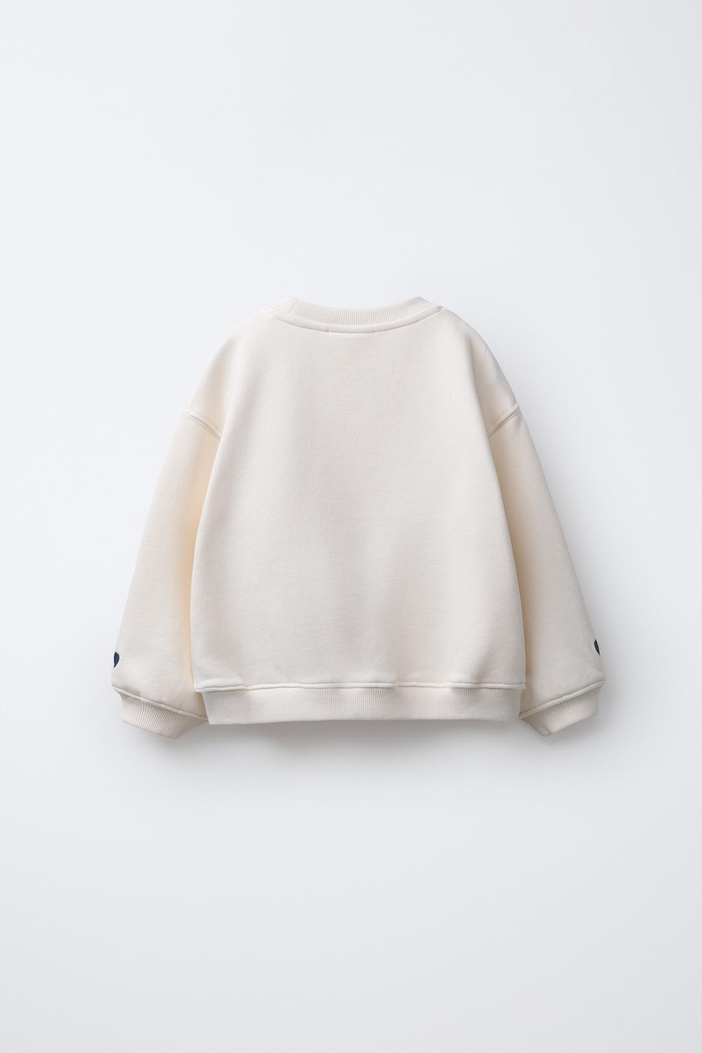 ТОЛСТОВКА С ВЫШИВКОЙ «КАПИБАРА И СЕРДЦЕ»