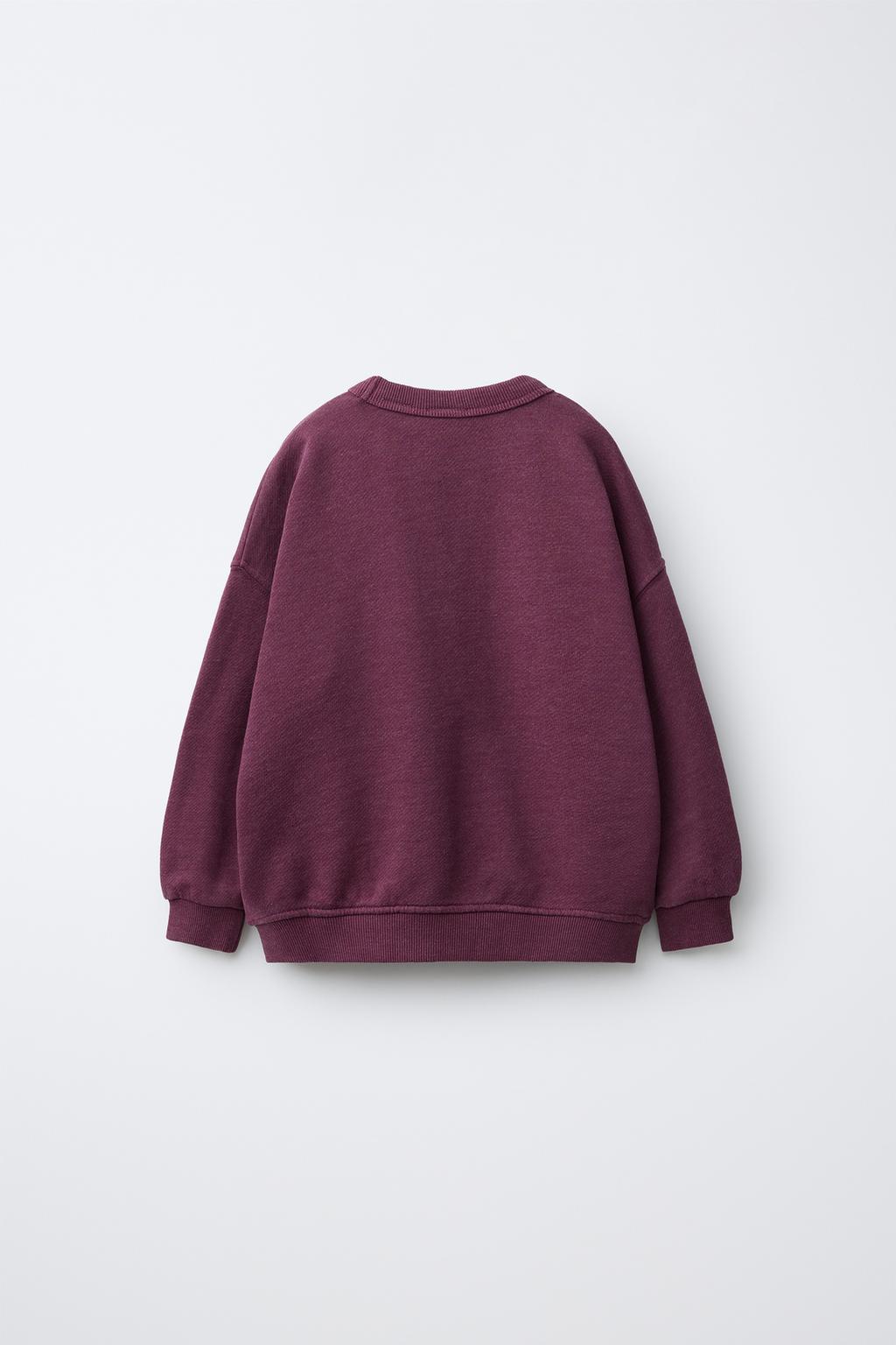 ТОЛСТОВКА С ТЕКСТОВЫМ ПРИНТОМ