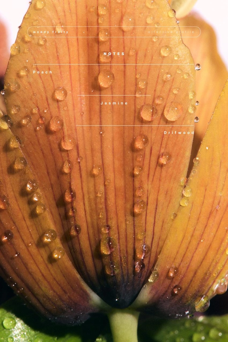 Туалетная вода Cocoa Sunset In Bali Edp 100 мл