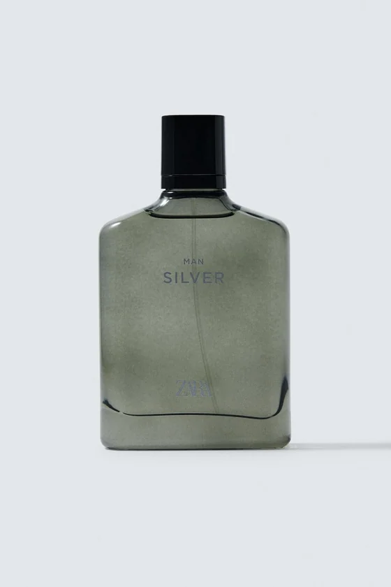Мужская туалетная вода silver eau edt 100 мл