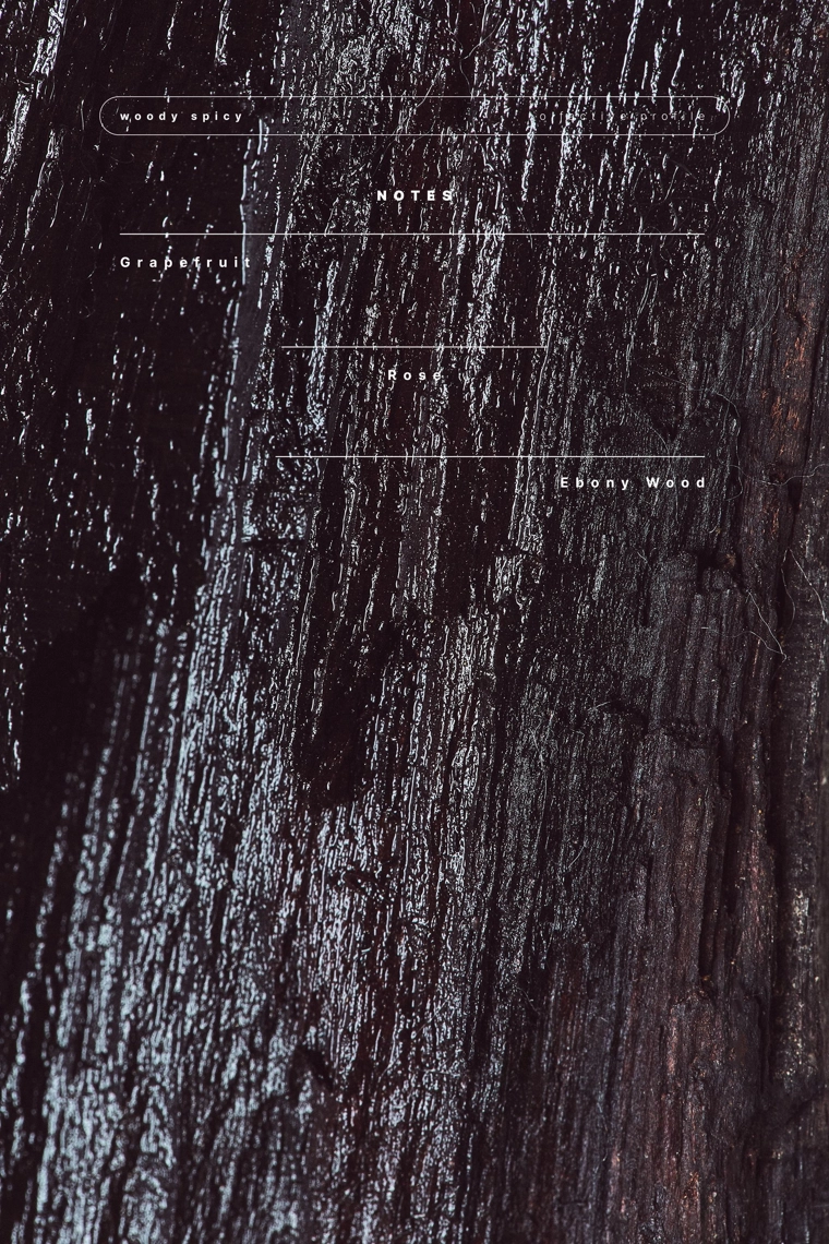 Парфюмерная вода ebony wood 100 мл