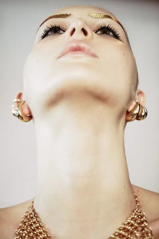 МЕТАЛЛИЧЕСКИЙ ТОП — LIMITED EDITION